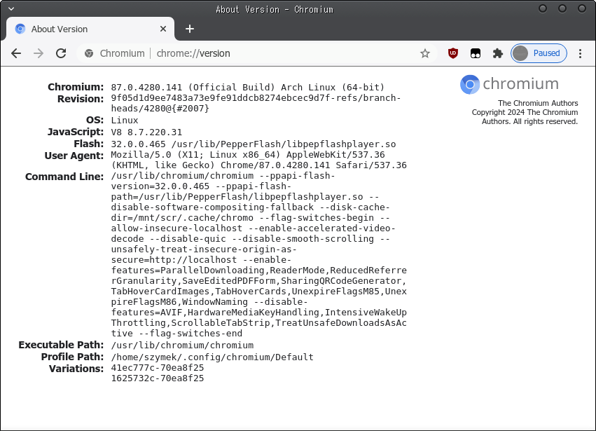 Screenshot of chrome://version